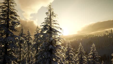 Majestic-Winter-Landscape-Glowing-by-Sunlight
